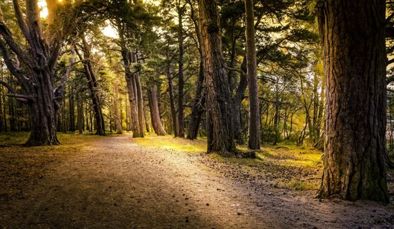 Speyside Way & Cairngorms